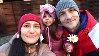 VLOG: ПРИЕХАЛИ В ЛЮБИМЫЙ ЛЕС / СВЕТЛЫЙ ЯР!