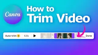 How to trim video in Canva