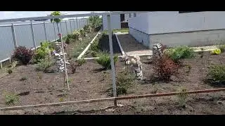 319.В первом 🏠 работа с бардюрами завершена.👍