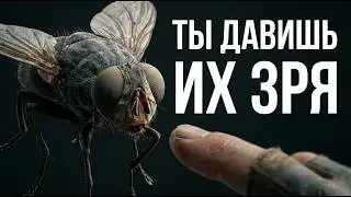 Why are flies really needed? Their secret role in nature