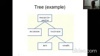 Lecture 50 Tree introduction