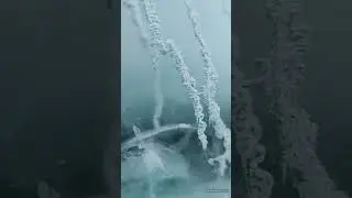 8 марта 2024 г.