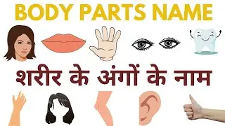 Body Parts Name Hindi and English - शरीर के अंगों के नाम