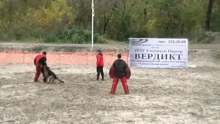 2 упр Винни
