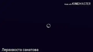 ||Коты воители || ~клип ~{Moves Like Jagger}