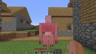 Mincraft meme
