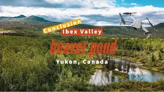 Drone | Relaxing | Best 3 Minutes At A Beaver Pond (Conclusion) - Yukon, Canada