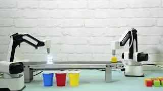 Conveyor Belt