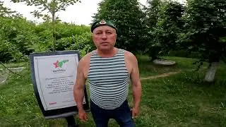 Поздравление