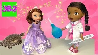 Doc McStuffins treats Sofia the First, go on a picnic, videos for children