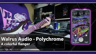 Walrus Audio - Polychrome (Synth and Guitar)