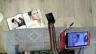 MobileNet in FPGA (Small demo)