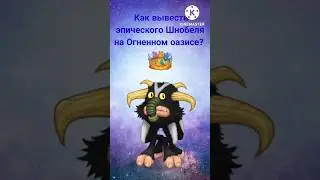 Как вывести эпического Шнобеля на огненном оазисе? 