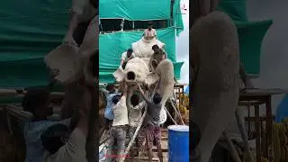 Ganpati Making 2024 #ganpati #ganesh #shorts