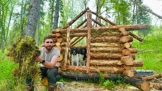 Building a Log Cabin: Chinking and roof joists