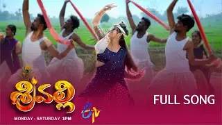 Sreevalli Daily Serial | Video Song | #Sreevalli | Monday to Saturday @ 1pm  |  on ETV