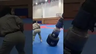 #aikidoka #aikidokids #aikidolife #aikidopictures #martialarts #martialart #karate #muaythai #kendo