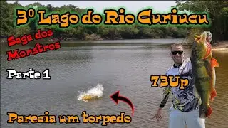 Lagos do Rio Curuicu! Nunca peguei tanto gigante num lago!