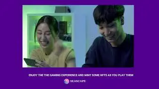 ABOUT SEASCAPE NETWORK AND THEIR GAMES