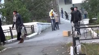 Котенок в Коробке. Social experiment