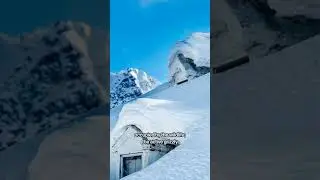 Cold and ABANDONED