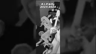 #FreeBilly