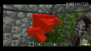 Building a Mine zoo EP.5- Finishing the first floor in reptile house