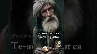 De ce mă insulți copile ? Mă trimiți în pod să zac ?