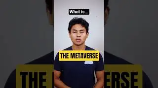 The METAVERSE in 1 Minute