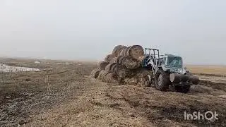 Завозим сено.