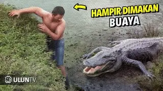 Thrilling! 10 Moments People Survived Wild Animal Attacks