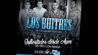 Los Buitres De Culiacan - El Americano (Banda) 2015