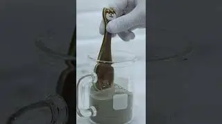 Como fazer VIDRO com AREIA