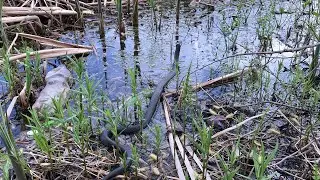 Водохранилище Советск