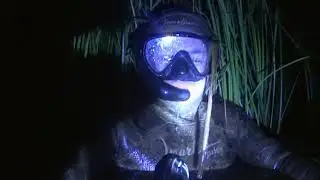 Подводная охота, ночью.