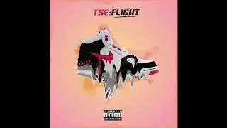 TSE - Flight (Audio)