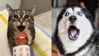 Who Sings Better / Kim Daha İyi Şarkı Söyler