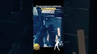 Кот прикол