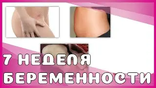 7 неделя беременности: изменения у мамы и малыша, выделения, секс, рекомендации