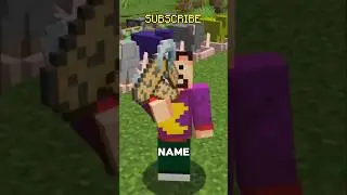 ⛔️ All *SECRET* Name Tags in Minecraft