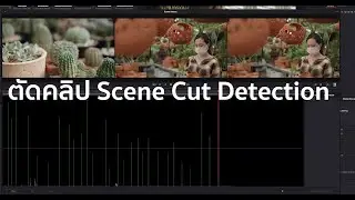 ตัดคลิป Scene Cut Detection ด้วย Davinci Resolve Version 17