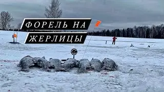 Ловля Форели на Жерлицы | Безлимит в Дурыкино
