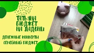 26.02.24 Распределение бюджета.Система денежных конвертов. 32900 Ввожу интерактив. Коплю на мечту