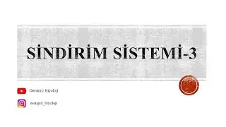 11. Sınıf Sindirim Sistemi - 3 (Sindirime Yardımcı Organlar)
