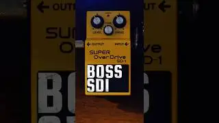 BOSS SD1 SUPER OVERDRIVE⚡️Do you need a Dynamic Overdrive? 