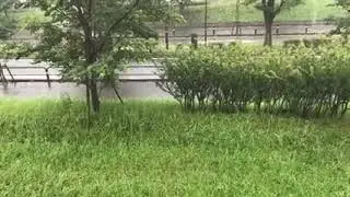 9.Heavy Rain in Rainy season