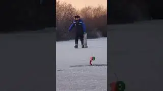 щука