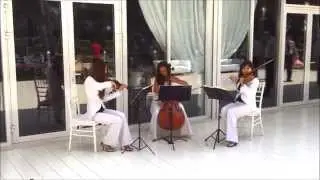 Violin Group DOLLS - Струнное трио на свадьбу
