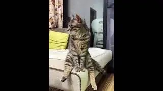 Как ты тут…