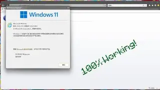 How to open IE11 browser